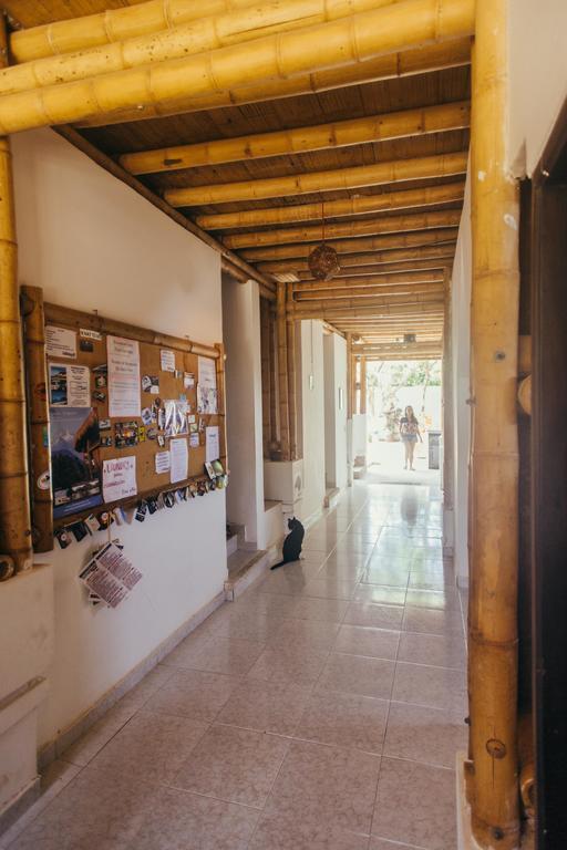 La Tortuga Hostel Taganga Ngoại thất bức ảnh